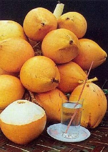 King Coconut